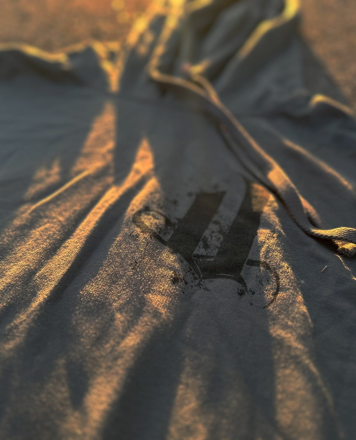 Ashes Hell Hoodie